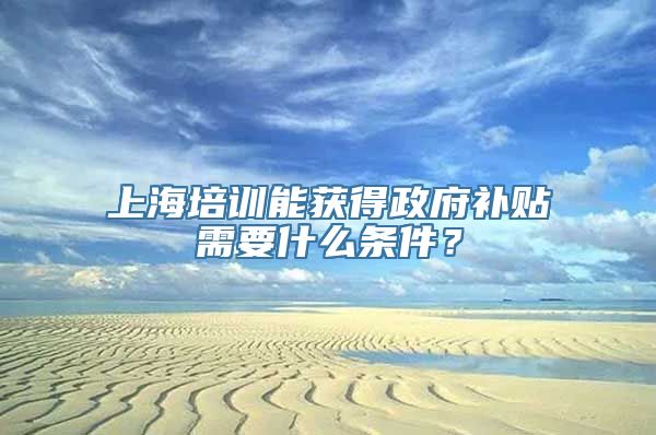 上海培训能获得政府补贴需要什么条件？