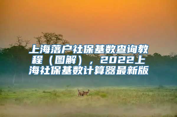 上海落户社保基数查询教程（图解），2022上海社保基数计算器最新版