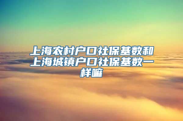 上海农村户口社保基数和上海城镇户口社保基数一样嘛