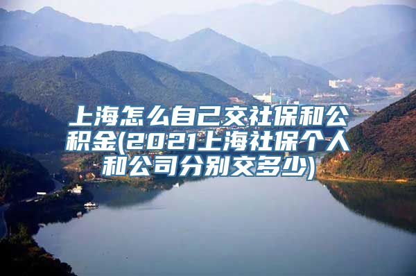 上海怎么自己交社保和公积金(2021上海社保个人和公司分别交多少)