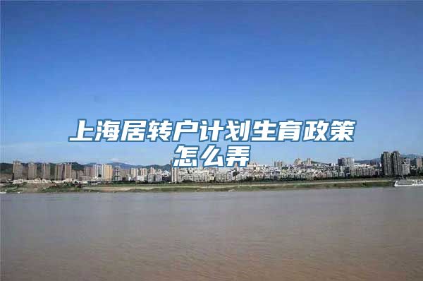 上海居转户计划生育政策怎么弄