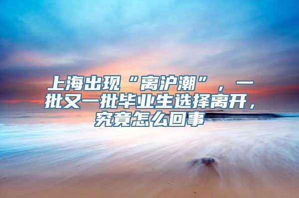 上海出现“离沪潮”，一批又一批毕业生选择离开，究竟怎么回事