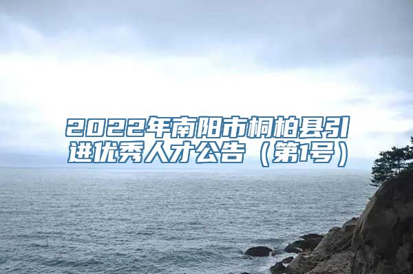 2022年南阳市桐柏县引进优秀人才公告（第1号）