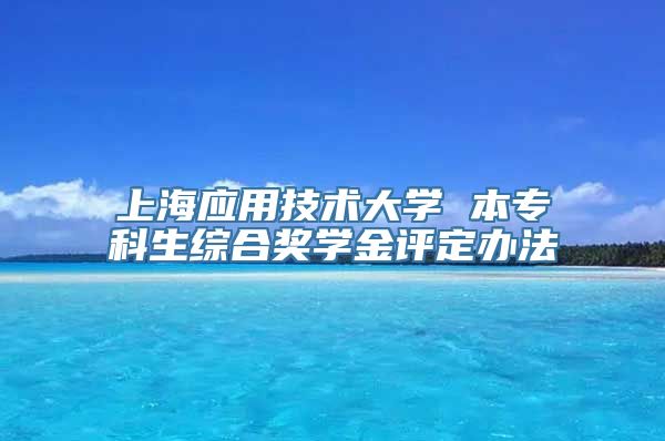 上海应用技术大学 本专科生综合奖学金评定办法