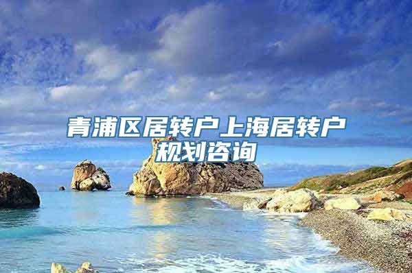 青浦区居转户上海居转户规划咨询