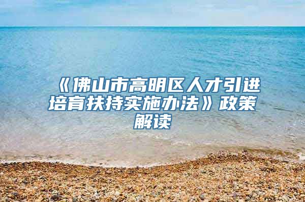 《佛山市高明区人才引进培育扶持实施办法》政策解读