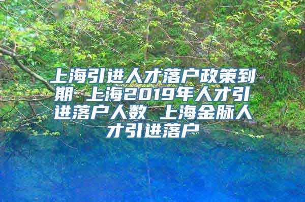 上海引进人才落户政策到期 上海2019年人才引进落户人数 上海金脉人才引进落户