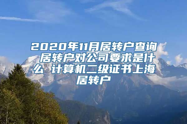 2020年11月居转户查询 居转户对公司要求是什么 计算机二级证书上海居转户