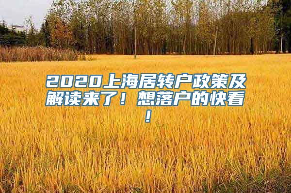 2020上海居转户政策及解读来了！想落户的快看！