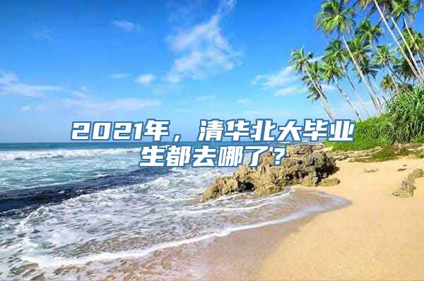 2021年，清华北大毕业生都去哪了？