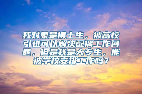 我对象是博士生，被高校引进可以解决配偶工作问题，但是我是大专生，能被学校安排工作吗？