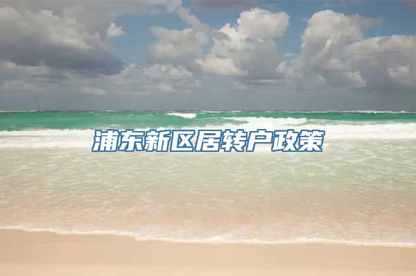 浦东新区居转户政策