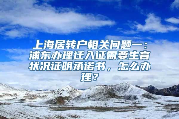 上海居转户相关问题一：浦东办理迁入证需要生育状况证明承诺书，怎么办理？