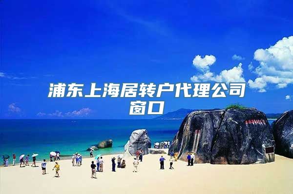 浦东上海居转户代理公司窗口