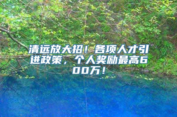 清远放大招！各项人才引进政策，个人奖励最高600万！