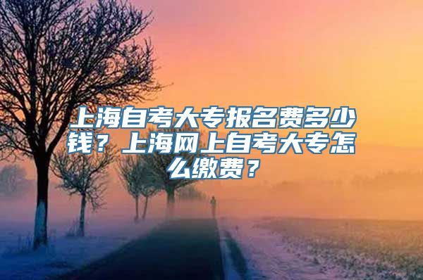 上海自考大专报名费多少钱？上海网上自考大专怎么缴费？