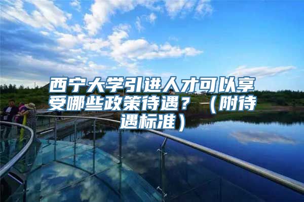 西宁大学引进人才可以享受哪些政策待遇？（附待遇标准）