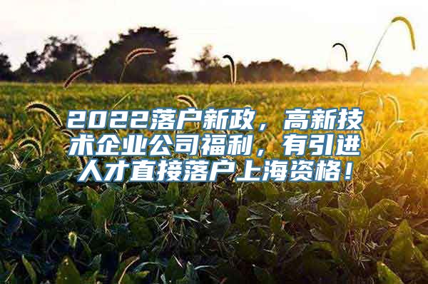 2022落户新政，高新技术企业公司福利，有引进人才直接落户上海资格！