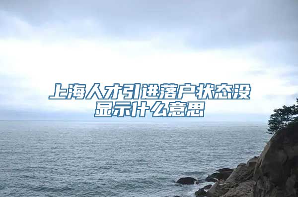 上海人才引进落户状态没显示什么意思