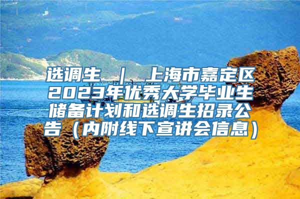 选调生 ｜ 上海市嘉定区2023年优秀大学毕业生储备计划和选调生招录公告（内附线下宣讲会信息）