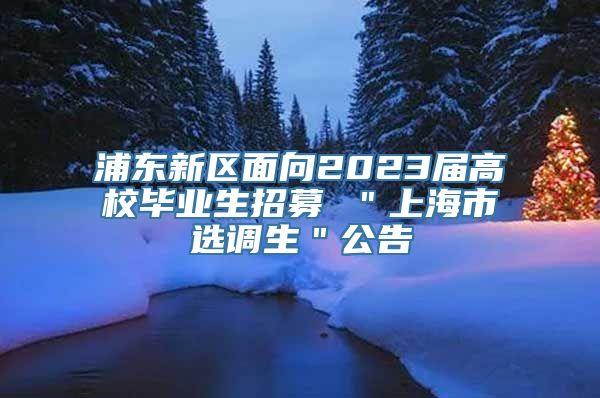 浦东新区面向2023届高校毕业生招募 ＂上海市选调生＂公告