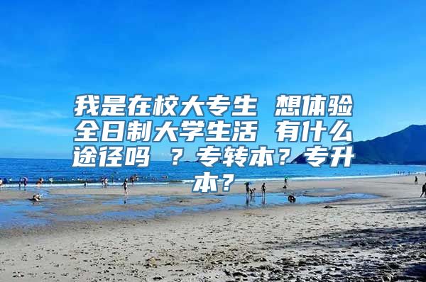 我是在校大专生 想体验全日制大学生活 有什么途径吗 ？专转本？专升本？