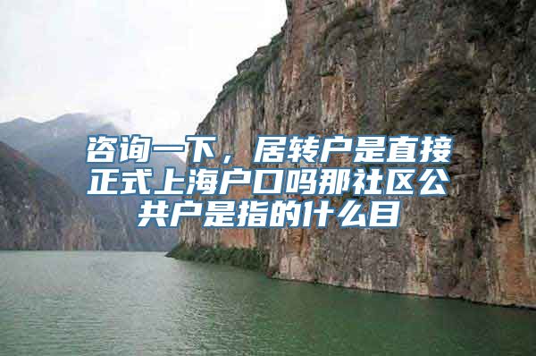 咨询一下，居转户是直接正式上海户口吗那社区公共户是指的什么目