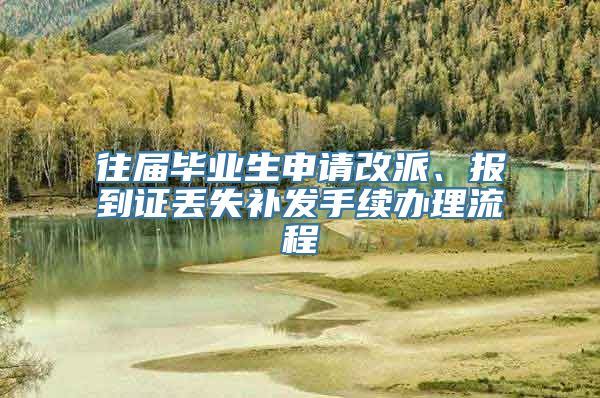 往届毕业生申请改派、报到证丢失补发手续办理流程