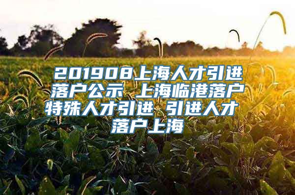 201908上海人才引进落户公示 上海临港落户特殊人才引进 引进人才 落户上海