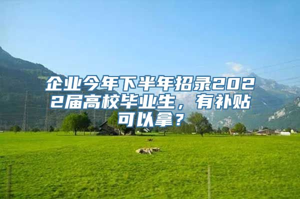 企业今年下半年招录2022届高校毕业生，有补贴可以拿？