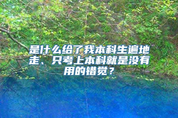 是什么给了我本科生遍地走、只考上本科就是没有用的错觉？