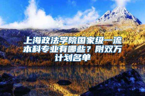 上海政法学院国家级一流本科专业有哪些？附双万计划名单