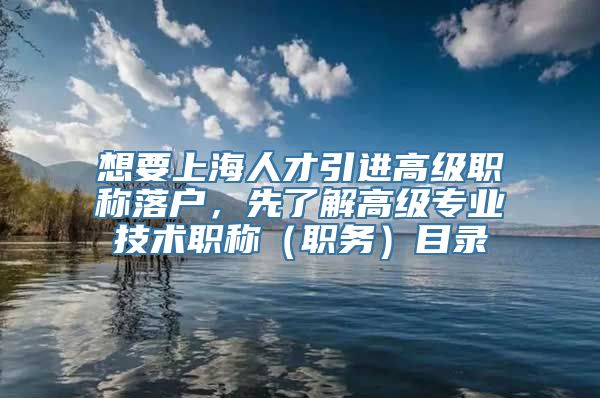 想要上海人才引进高级职称落户，先了解高级专业技术职称（职务）目录