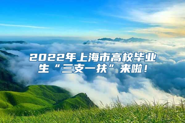 2022年上海市高校毕业生“三支一扶”来啦！