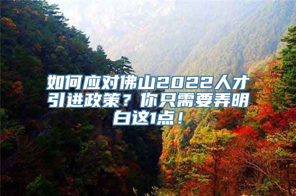 如何应对佛山2022人才引进政策？你只需要弄明白这1点！