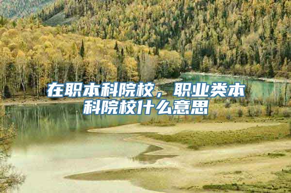 在职本科院校，职业类本科院校什么意思