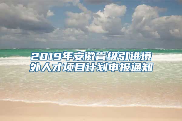 2019年安徽省级引进境外人才项目计划申报通知