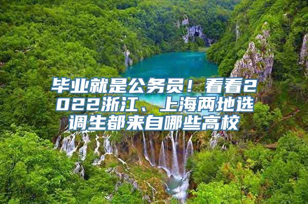 毕业就是公务员！看看2022浙江、上海两地选调生都来自哪些高校