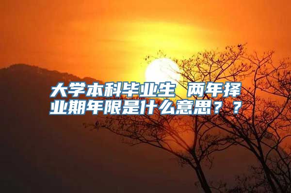 大学本科毕业生 两年择业期年限是什么意思？？