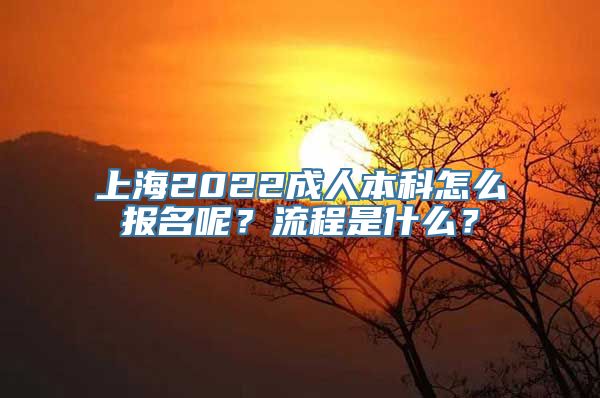 上海2022成人本科怎么报名呢？流程是什么？