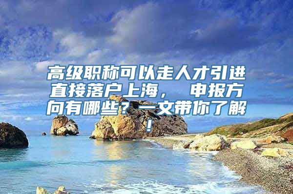 高级职称可以走人才引进直接落户上海， 申报方向有哪些？一文带你了解！