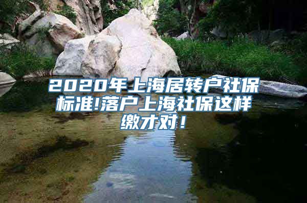 2020年上海居转户社保标准!落户上海社保这样缴才对！