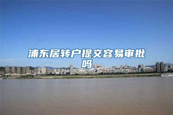 浦东居转户提交容易审批吗