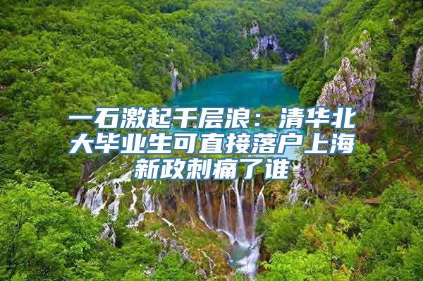 一石激起千层浪：清华北大毕业生可直接落户上海新政刺痛了谁