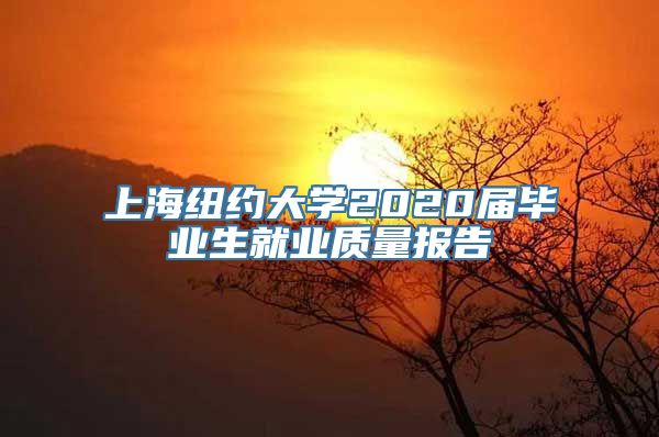 上海纽约大学2020届毕业生就业质量报告