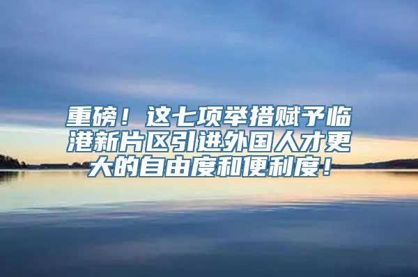 重磅！这七项举措赋予临港新片区引进外国人才更大的自由度和便利度！