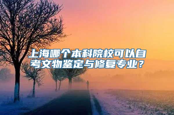 上海哪个本科院校可以自考文物鉴定与修复专业？