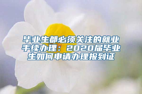 毕业生都必须关注的就业手续办理：2020届毕业生如何申请办理报到证