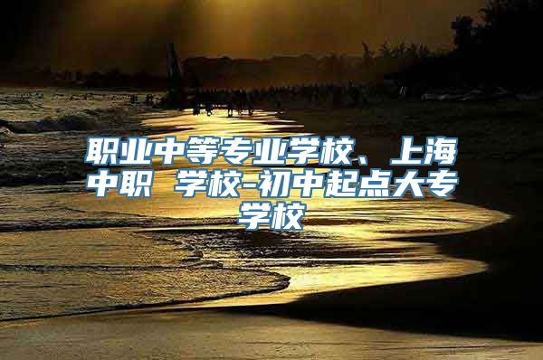 职业中等专业学校、上海中职 学校-初中起点大专学校