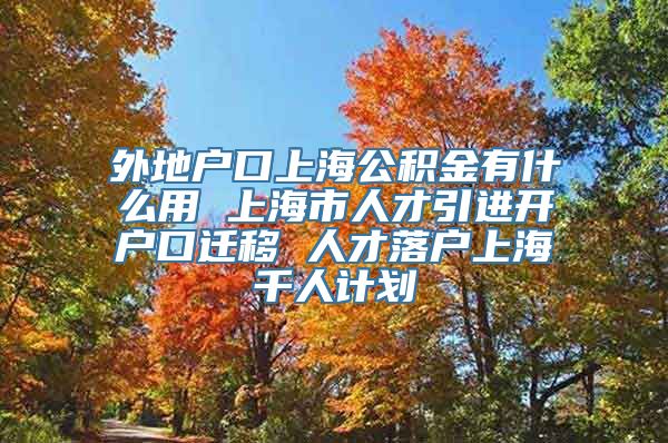 外地户口上海公积金有什么用 上海市人才引进开户口迁移 人才落户上海千人计划